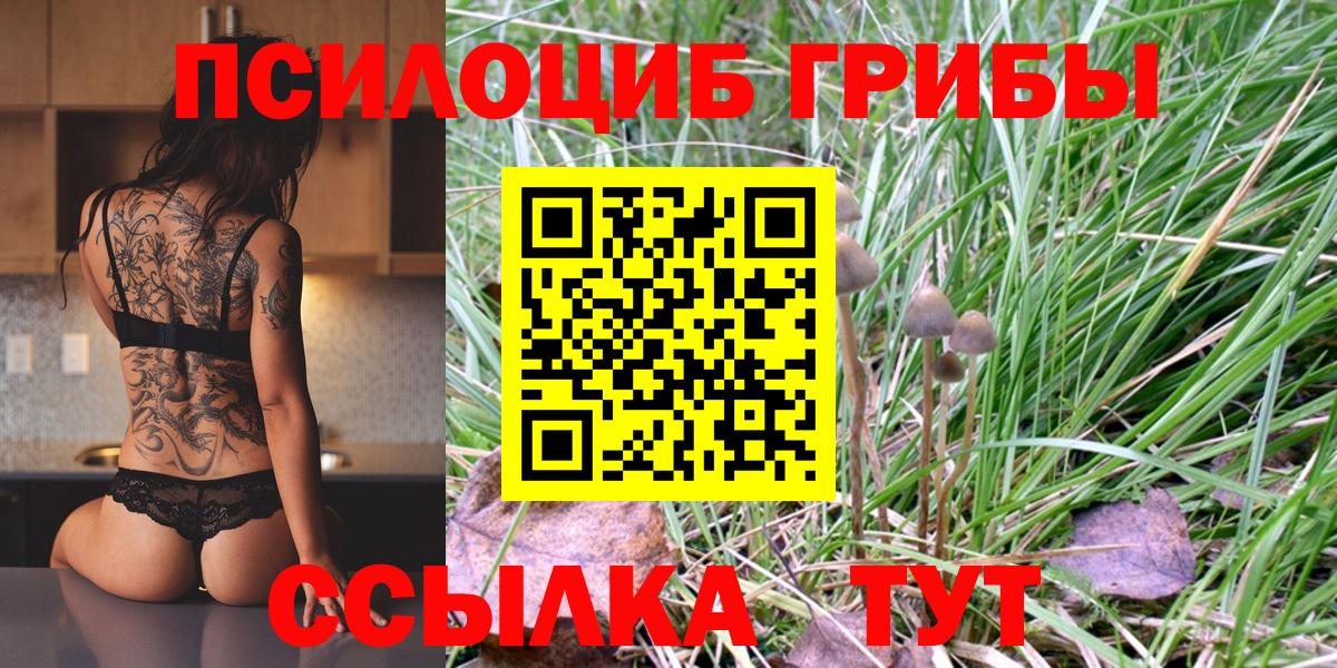 Псилоцибиновые грибы MAGIC MUSHROOMS  Вход с VPN  Псилоцибиновые грибы MAGIC MUSHROOMS  Омск 